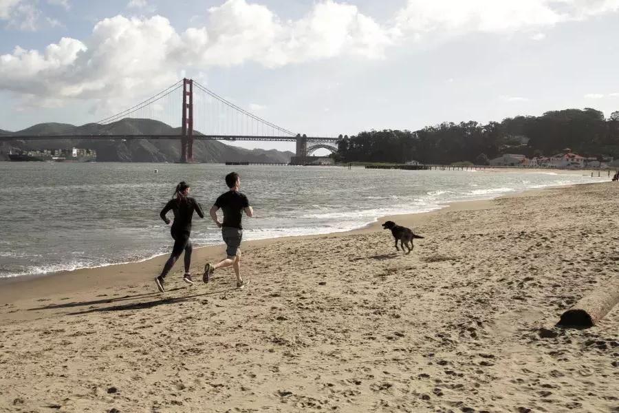 Paar mit Hund rennt auf Crissy Field